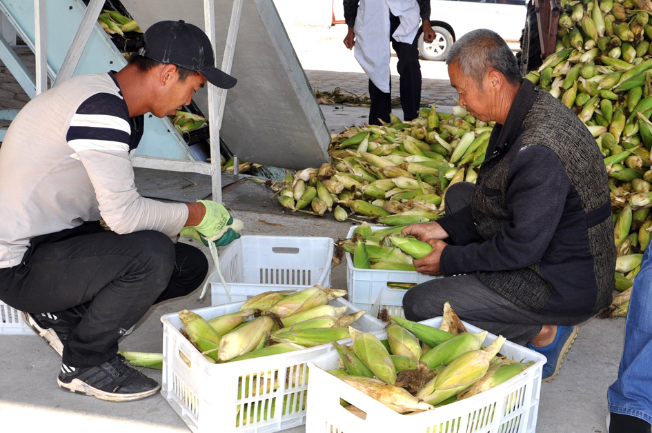 1537237631374720.jpg 4.风1.jpg