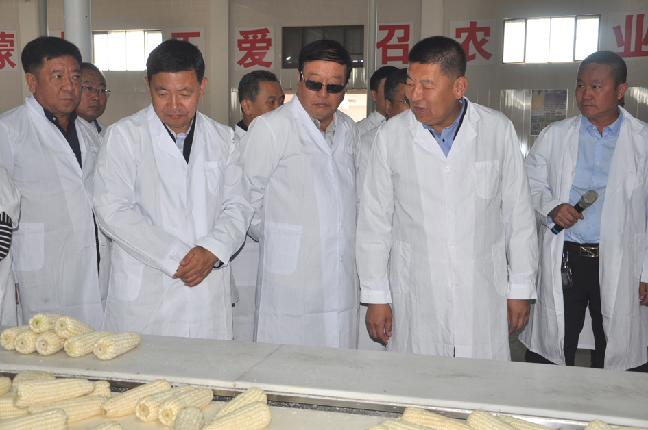 1537237655991323.jpg 4.风2.jpg