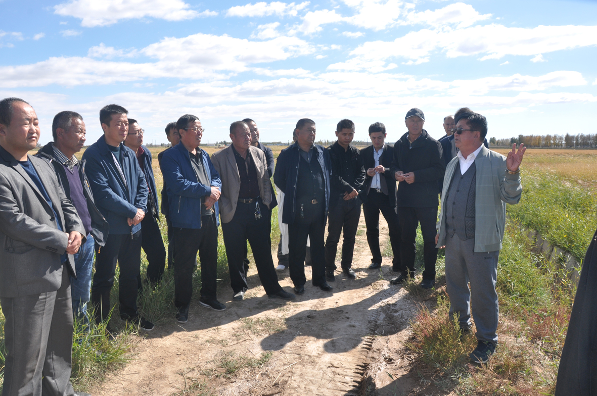 1539051027400195.jpg 04.jpg