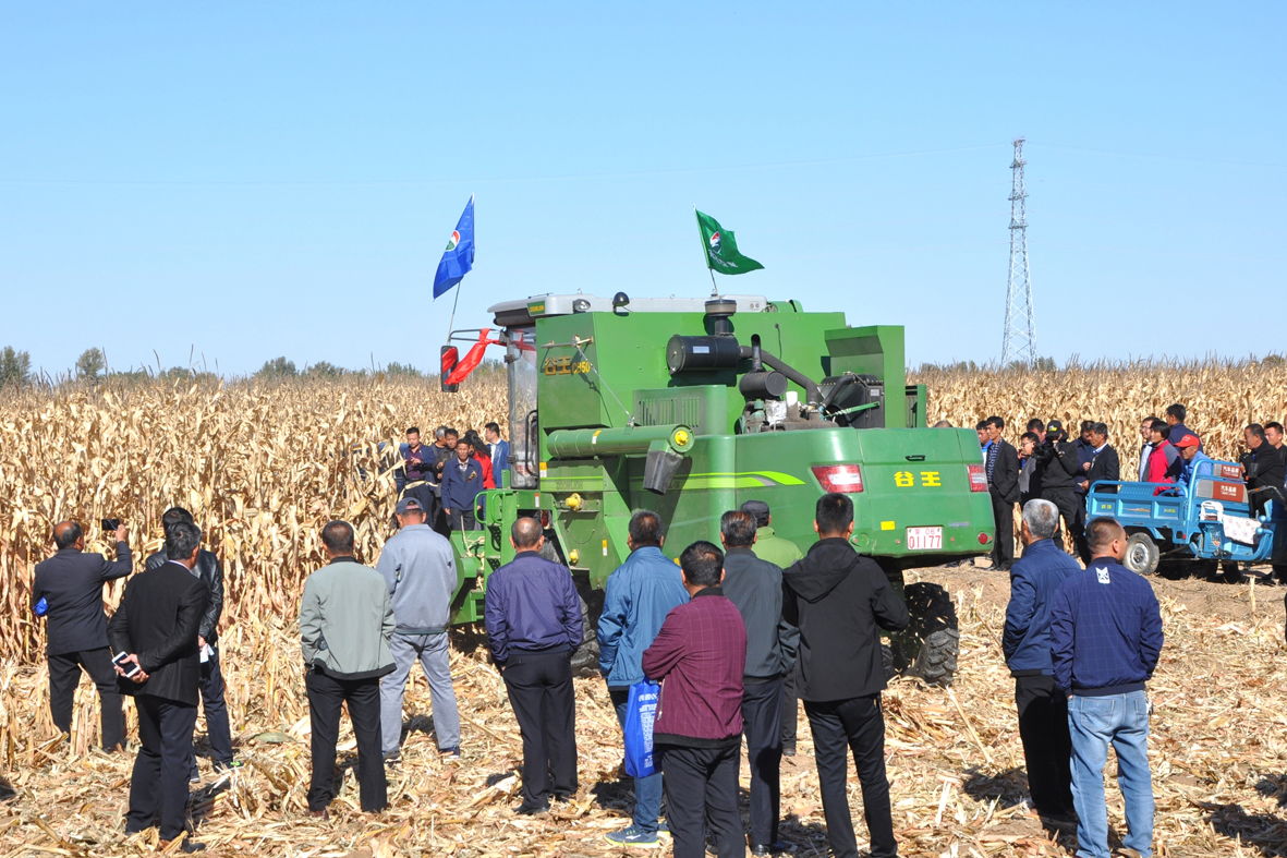 1539566861744191.jpg 001.jpg