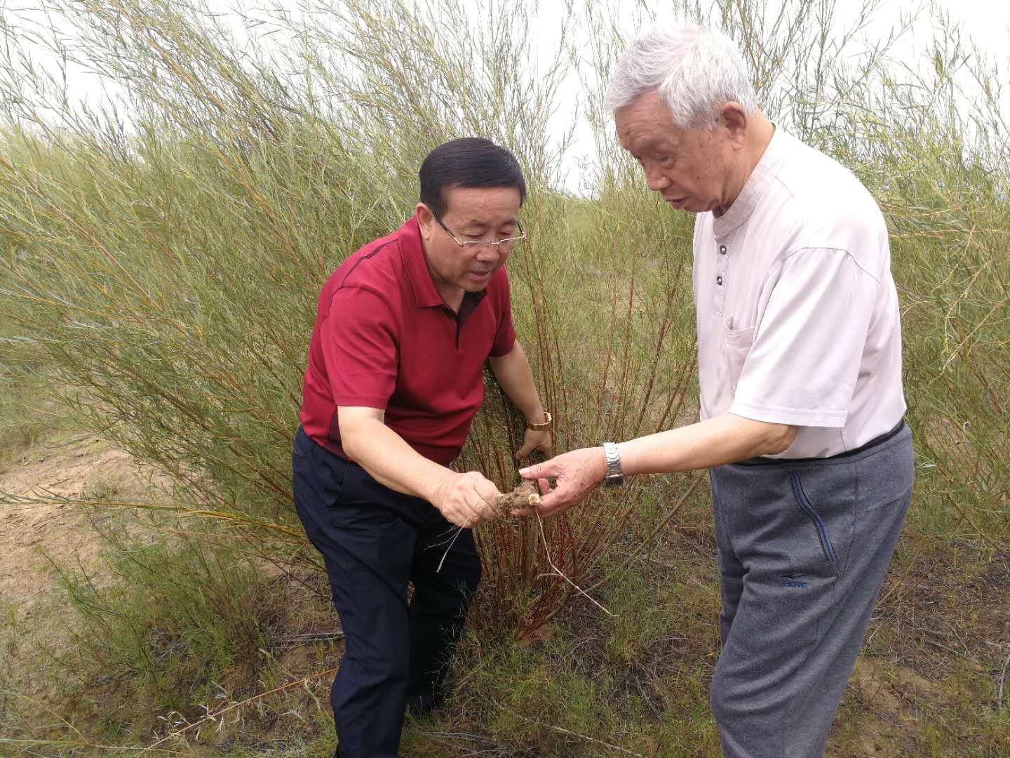 1539830732102553.jpg 89110930929329448.jpg