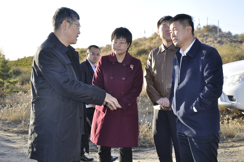 1540432368128256.jpg 王0000.jpg