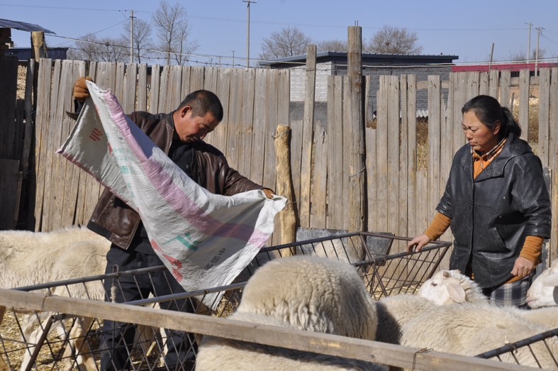 1540885343946268.jpg 0000身残志坚不等靠 勤劳双手把贫脱.jpg