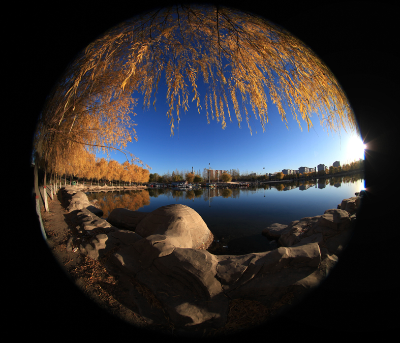 白塔公园---韩成元 摄00000.jpg