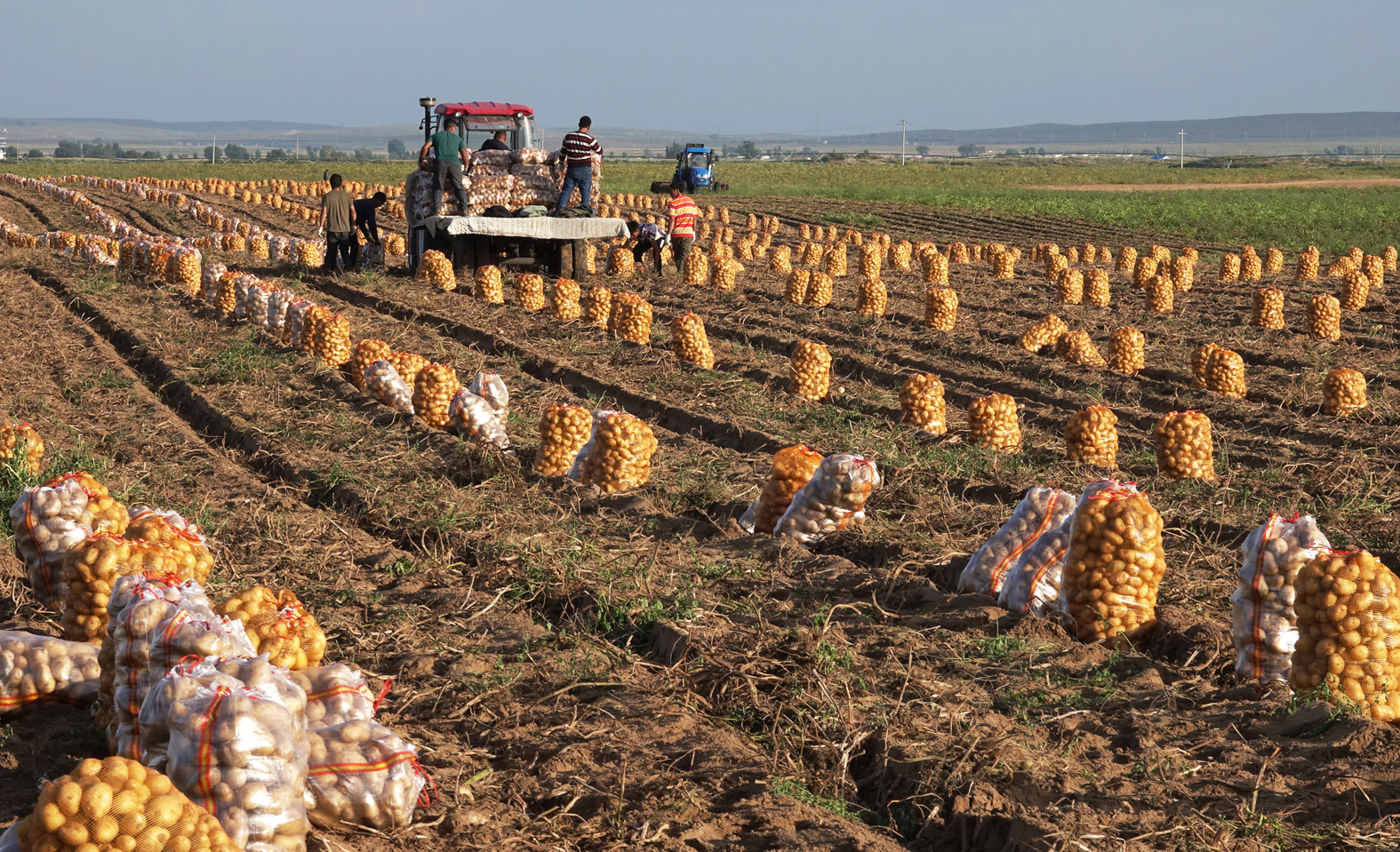 秋色 杨廷华摄1.jpg