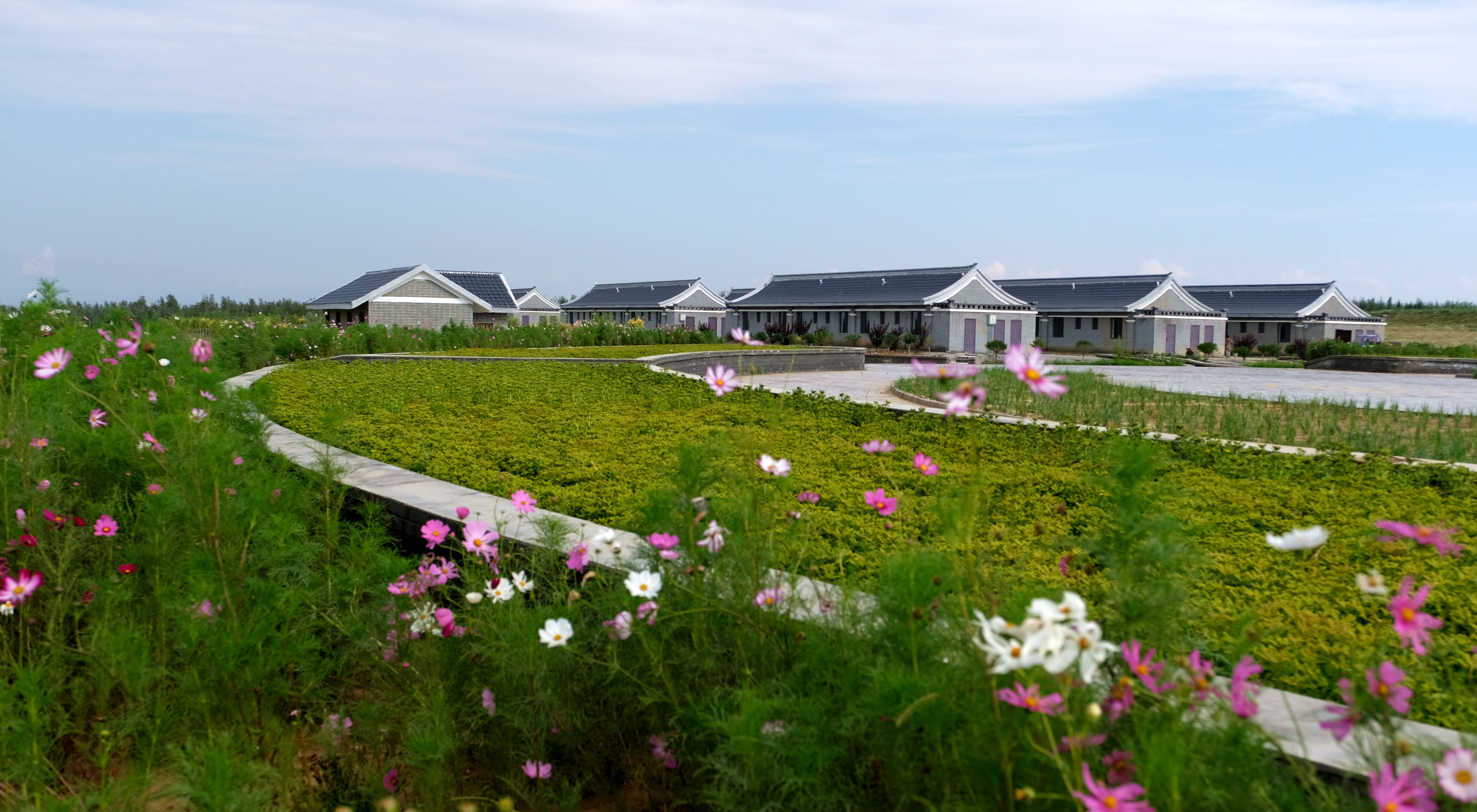 1542785858650210.jpg 01 张爱叶 摄.jpg