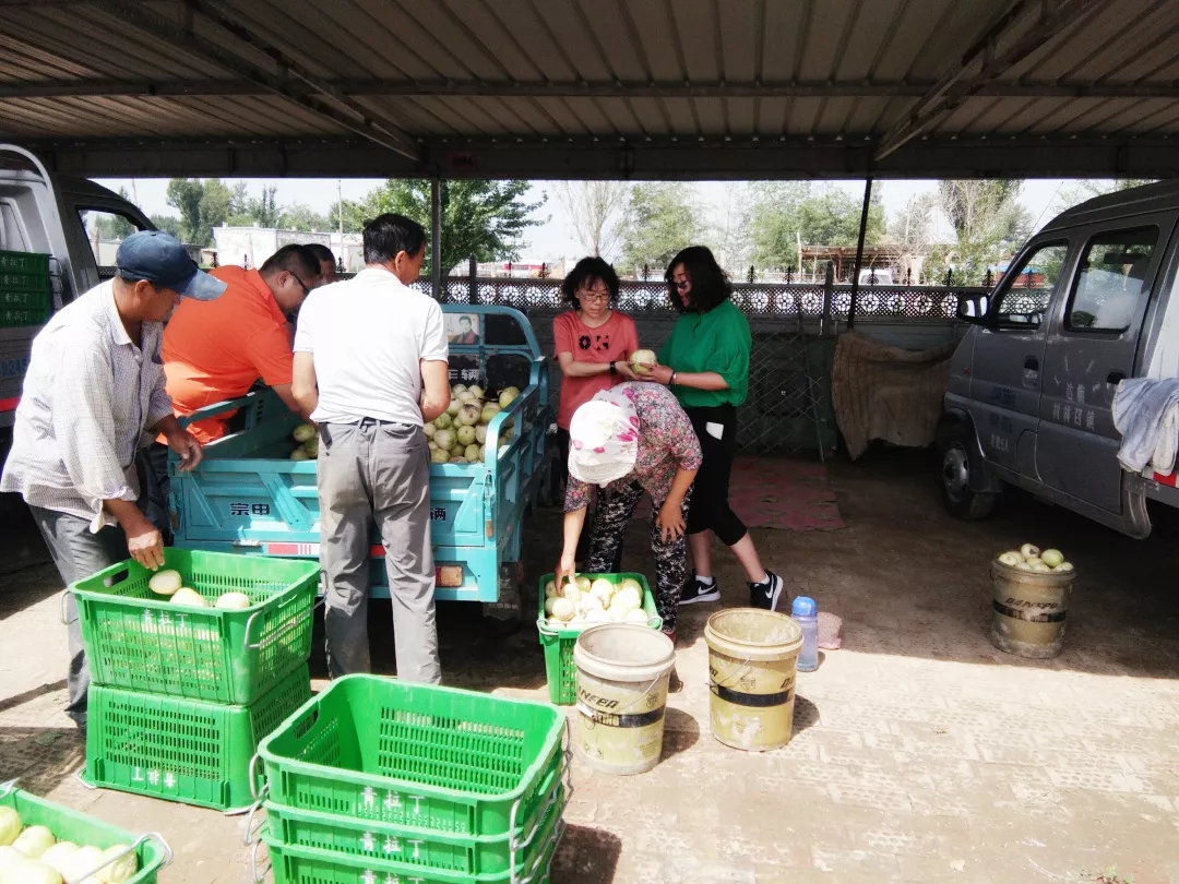 1542936504455190.jpg 03.jpg