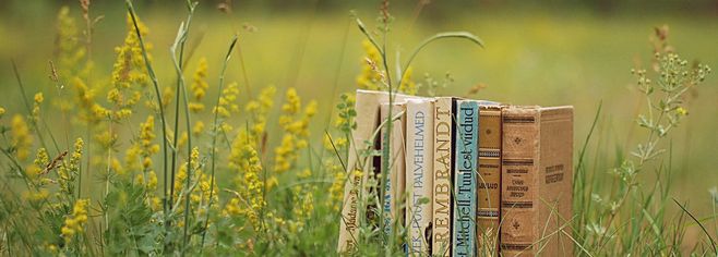 1542937741121779.jpg a096aabe614eb5062bbb02cdcd4f7b37059fb3742aaec-dTcO47_fw658.jpg