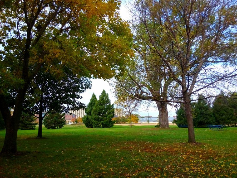 1542938861140356.jpg 28425639_1476558264248_mthumb.jpg