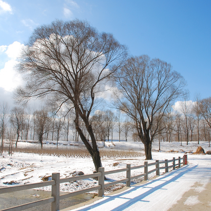 1543459033584543.jpg 村路2.jpg