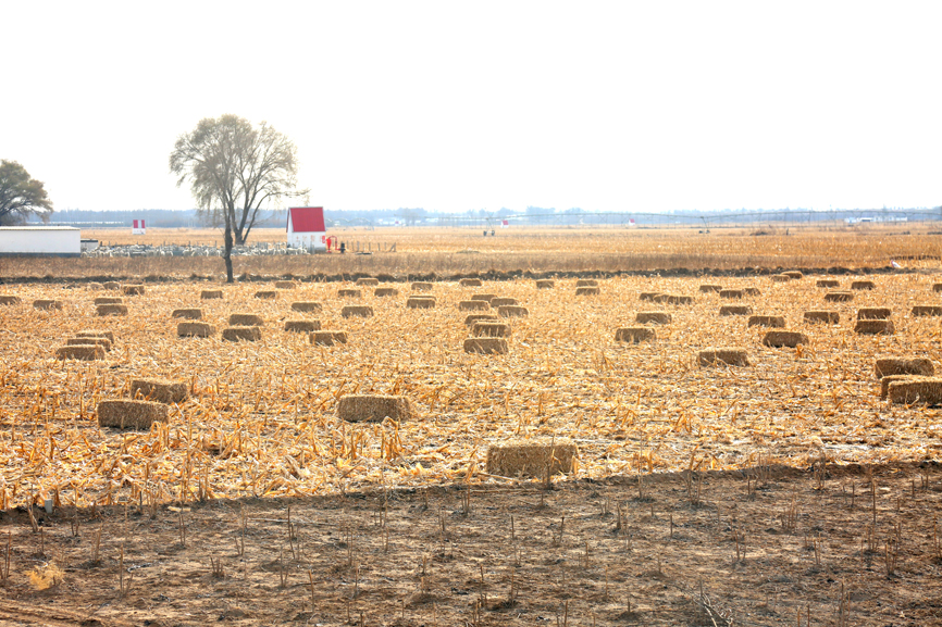 1543976348126444.jpg 02.jpg