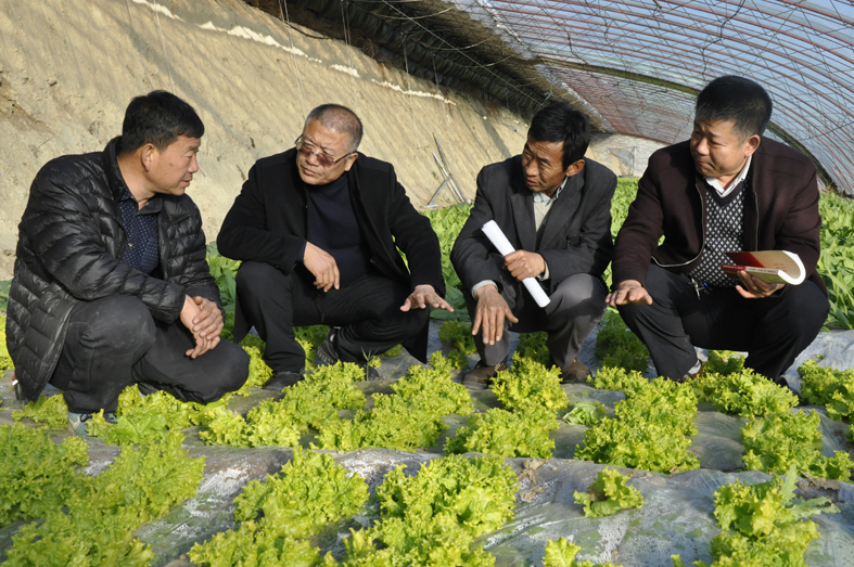 1544670160936801.jpg 0000郭万军(右一)与村民产看蔬菜长势.jpg