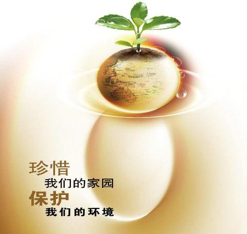 1545184700958748.jpg 1545184753814376.jpg