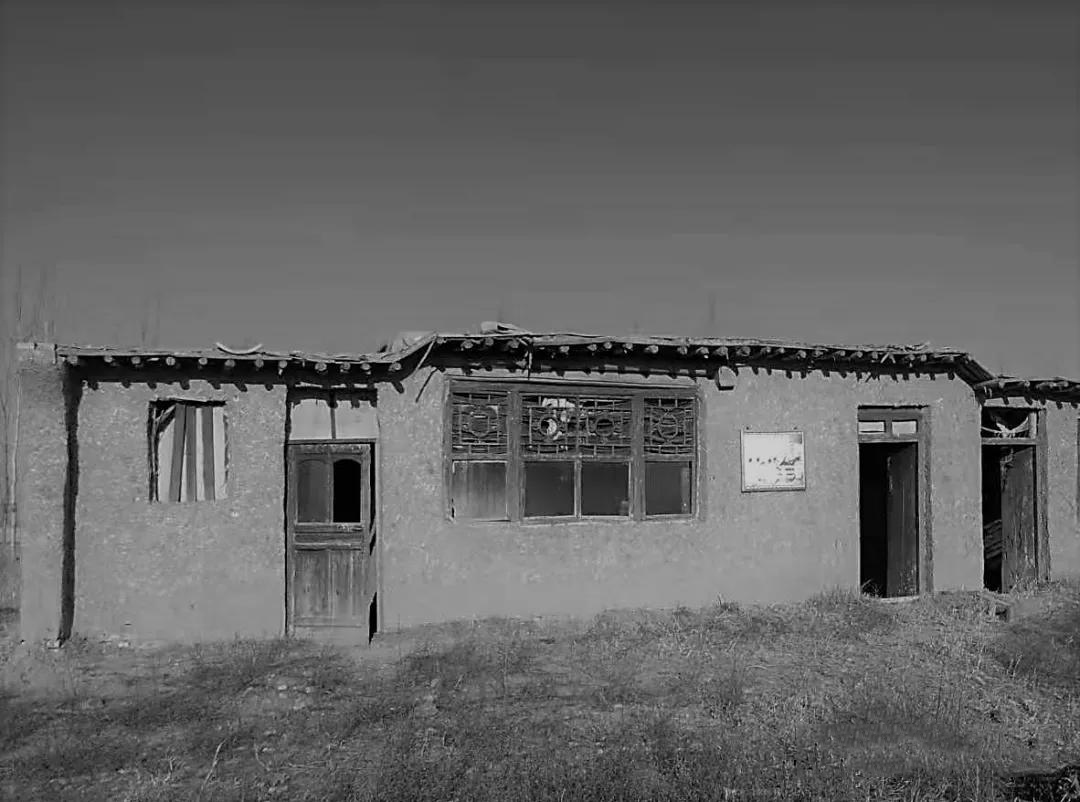 1545637102830040.jpg 1.11.jpg