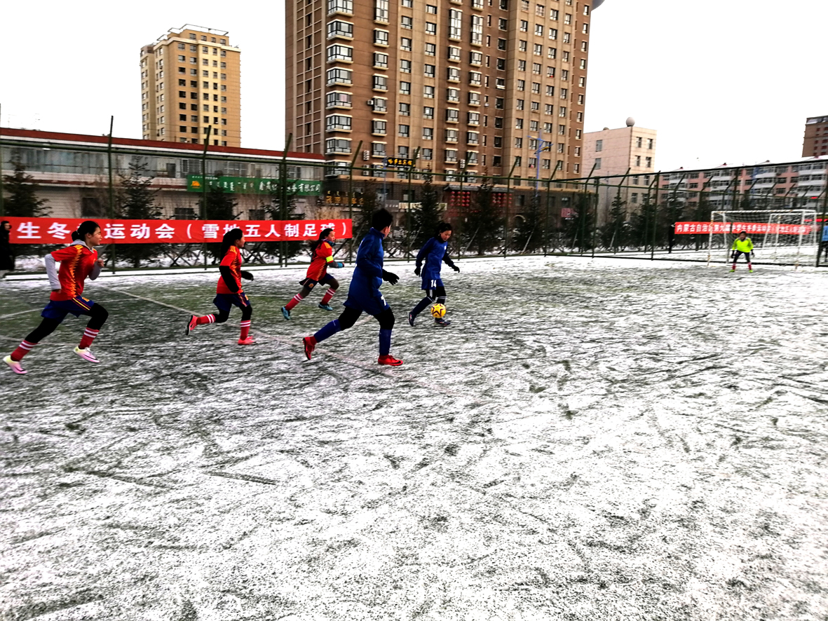 1546484734197946.jpg 03.jpg