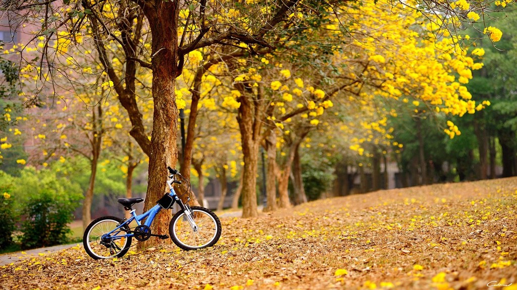 1550819057120656.jpg 22.jpg