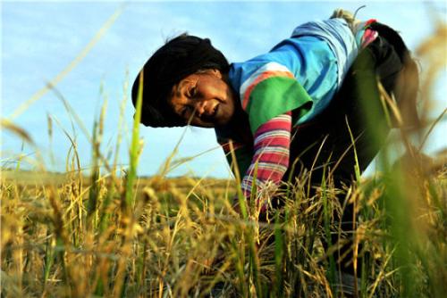 1553475419444001.jpg 32.jpg