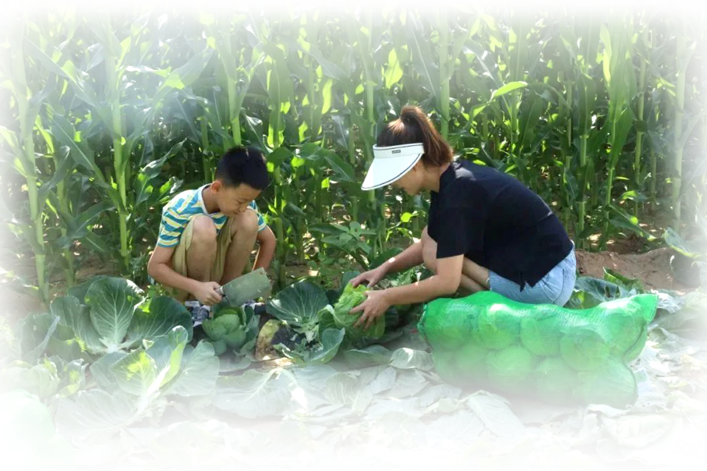 1658837527300785.jpg 5.3.jpg