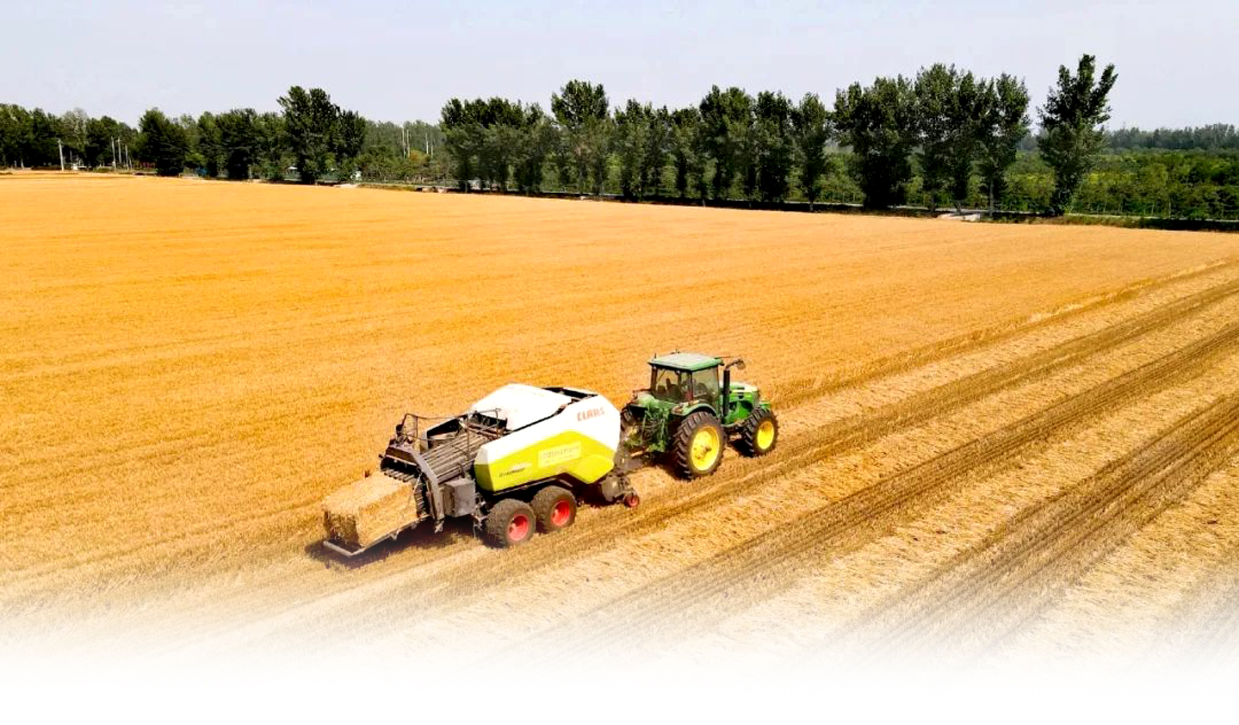 1658837868867227.jpg 3.1.jpg