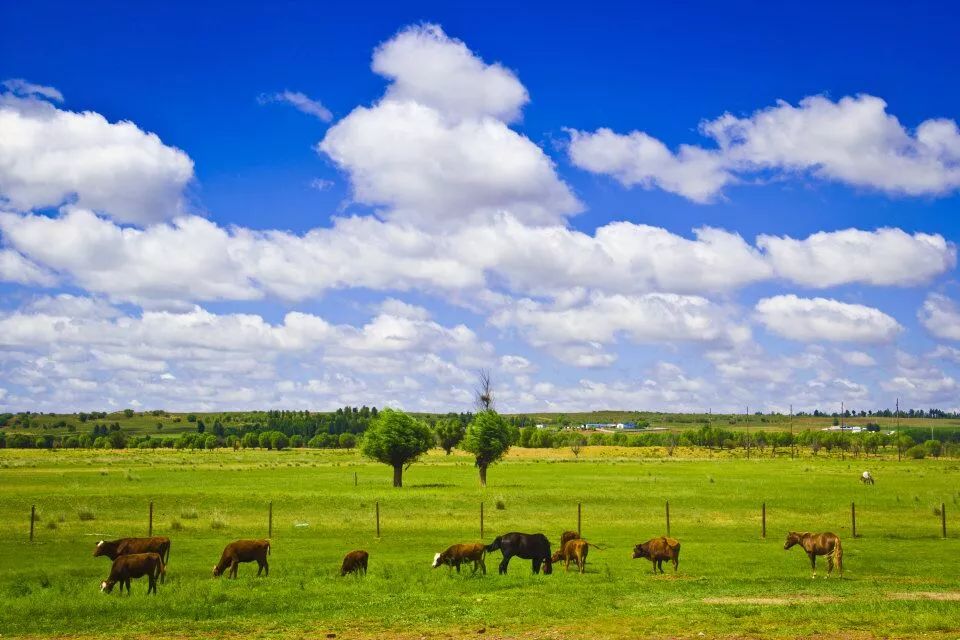 1694398892125463.jpeg 71e7d93e89744e25ad6131ee54cd04f5.jpeg