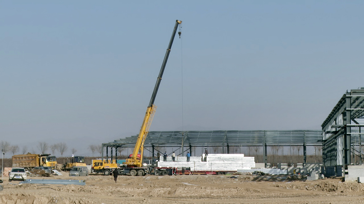 1765508306229775.jpg 1.1.jpg