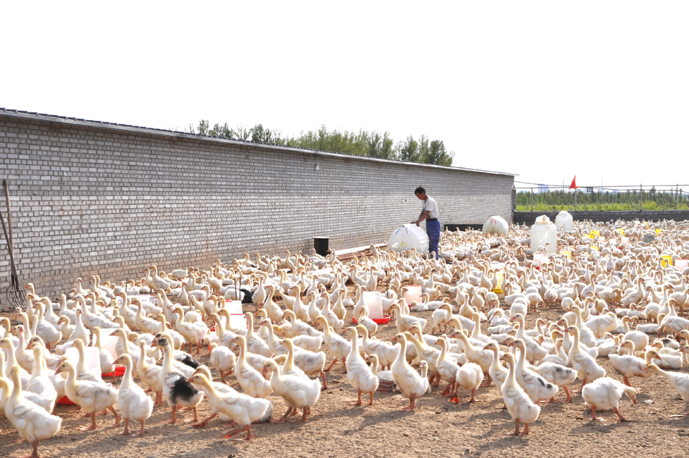 1529636788936242.jpg 03.jpg