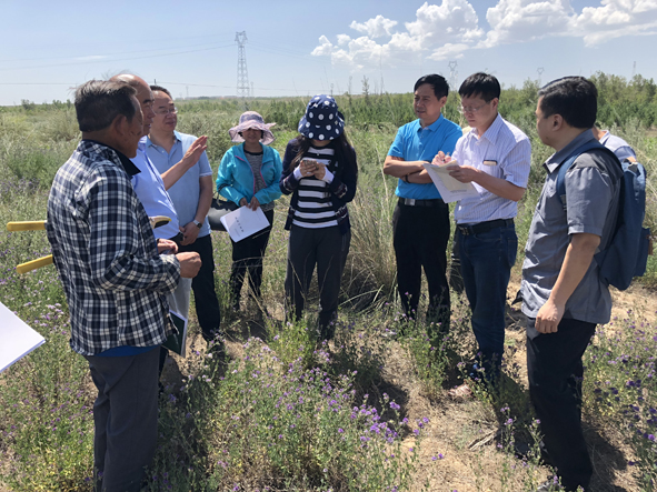 1530068288119111.jpg 111111111111.jpg