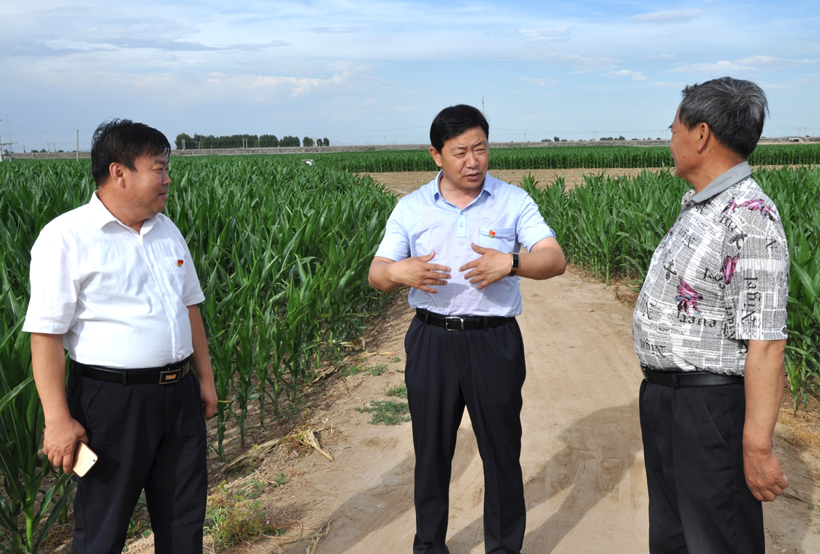 1530585573703569.jpg er.jpg