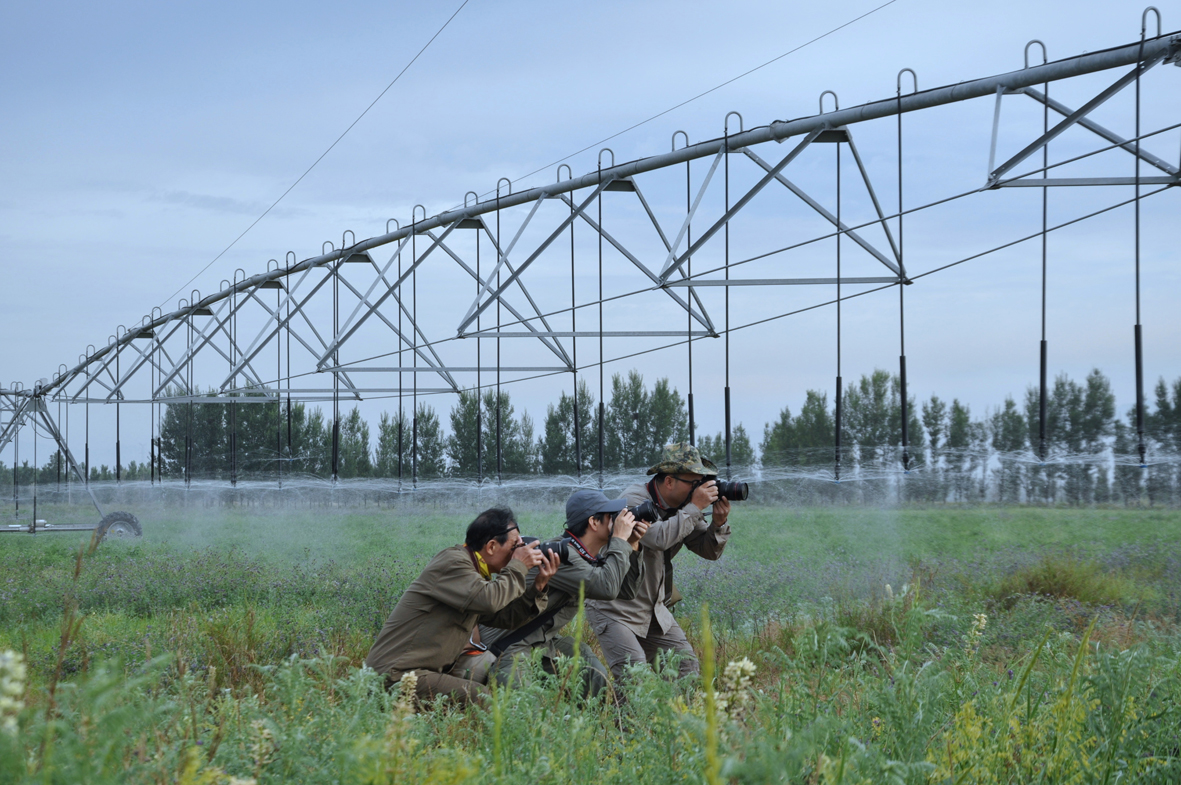 1531206930123191.jpg 压题图22.jpg