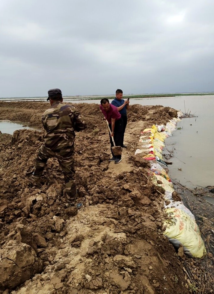 1531795577813817.jpg 02.jpg