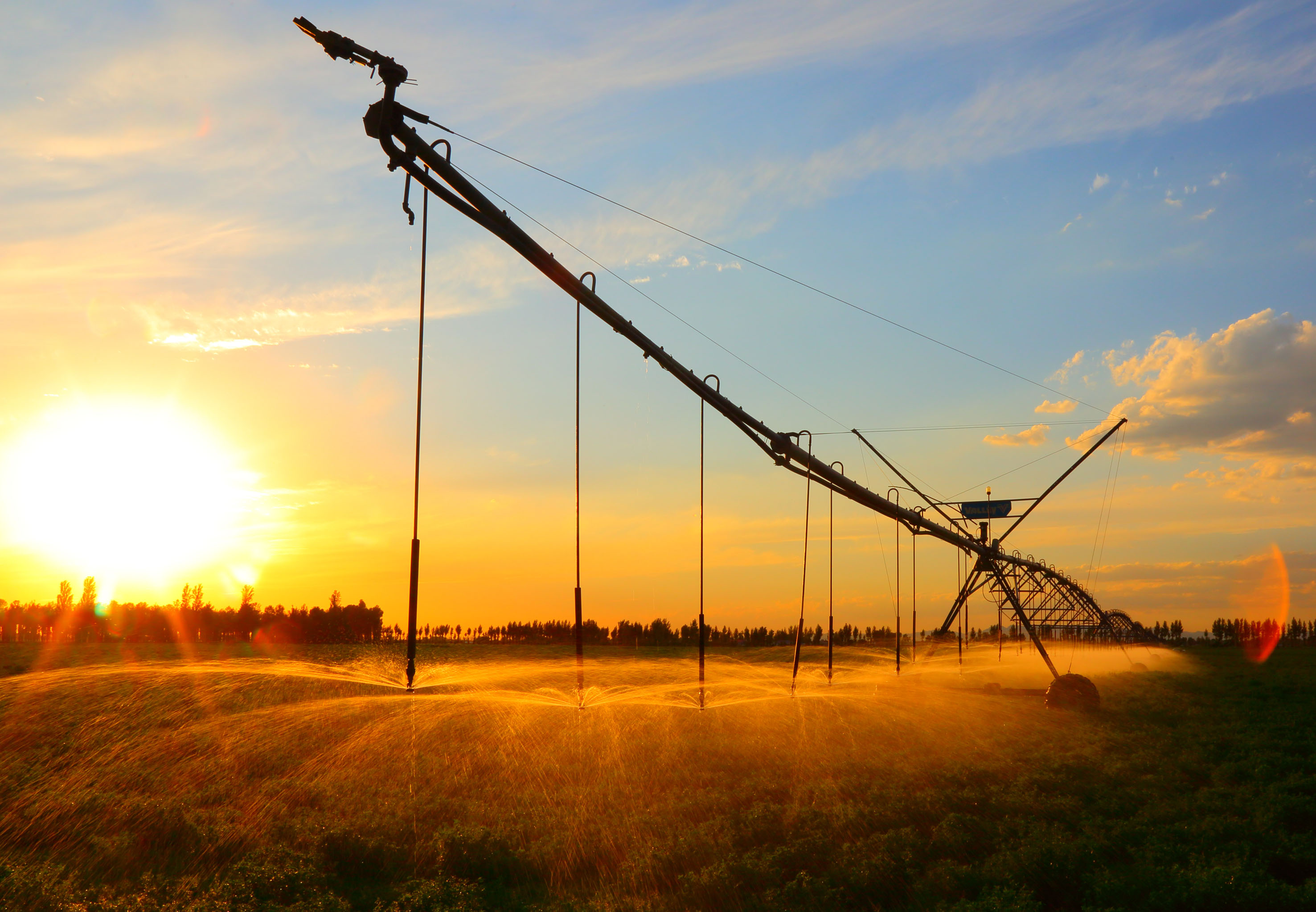 5沃野 张国柱.jpg