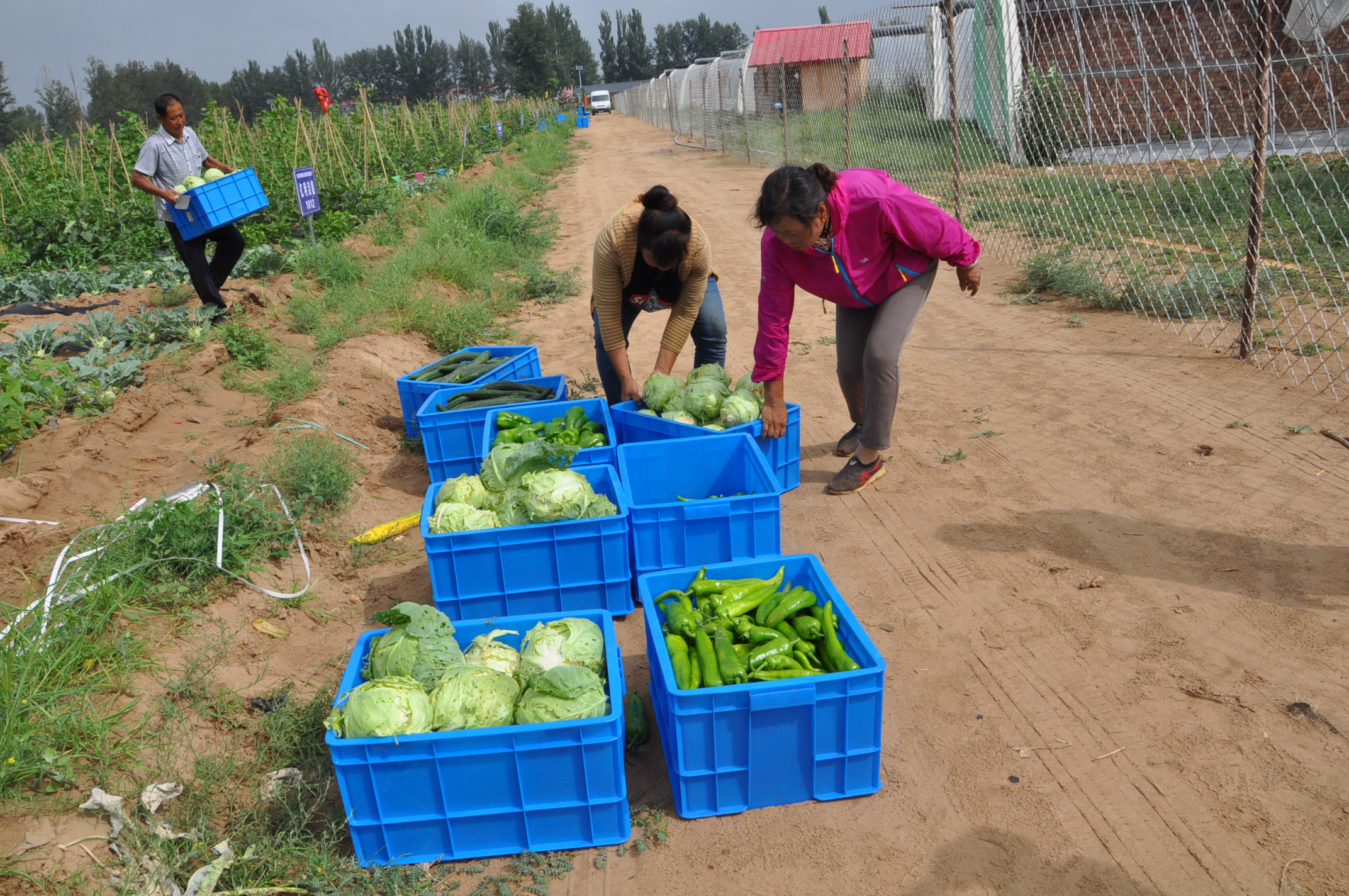 1532568266421496.jpg 005.jpg