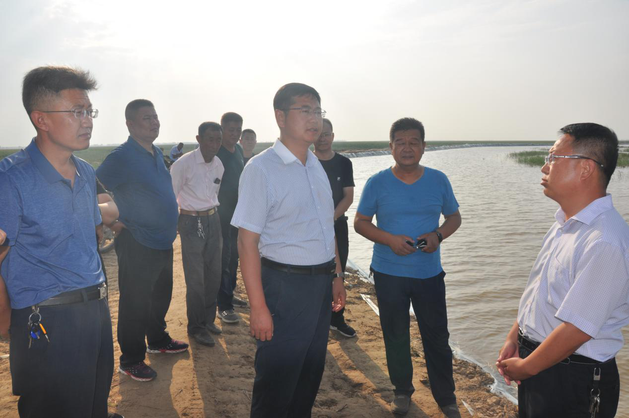 1533088869259868.png 王兵.png