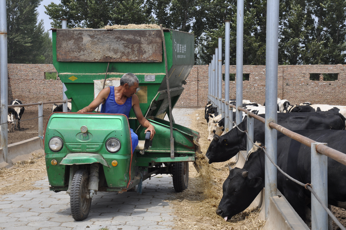 1533692256928927.jpg 111111.jpg