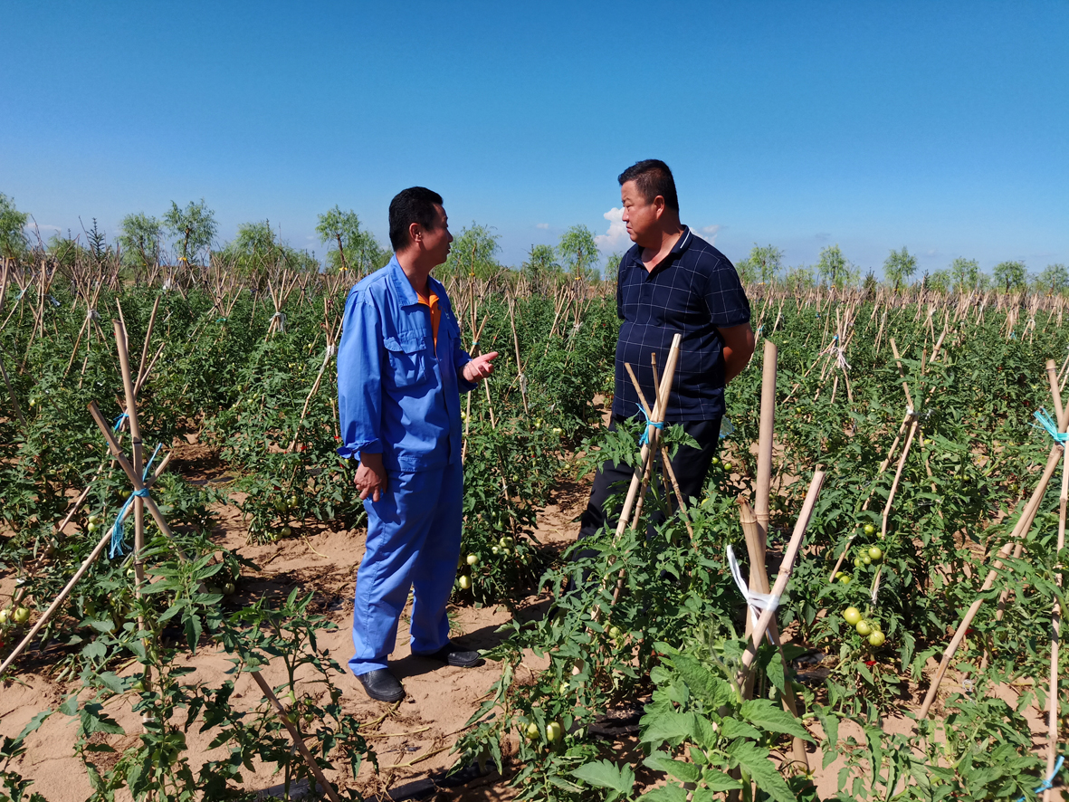 1533692438117450.jpg 033.jpg