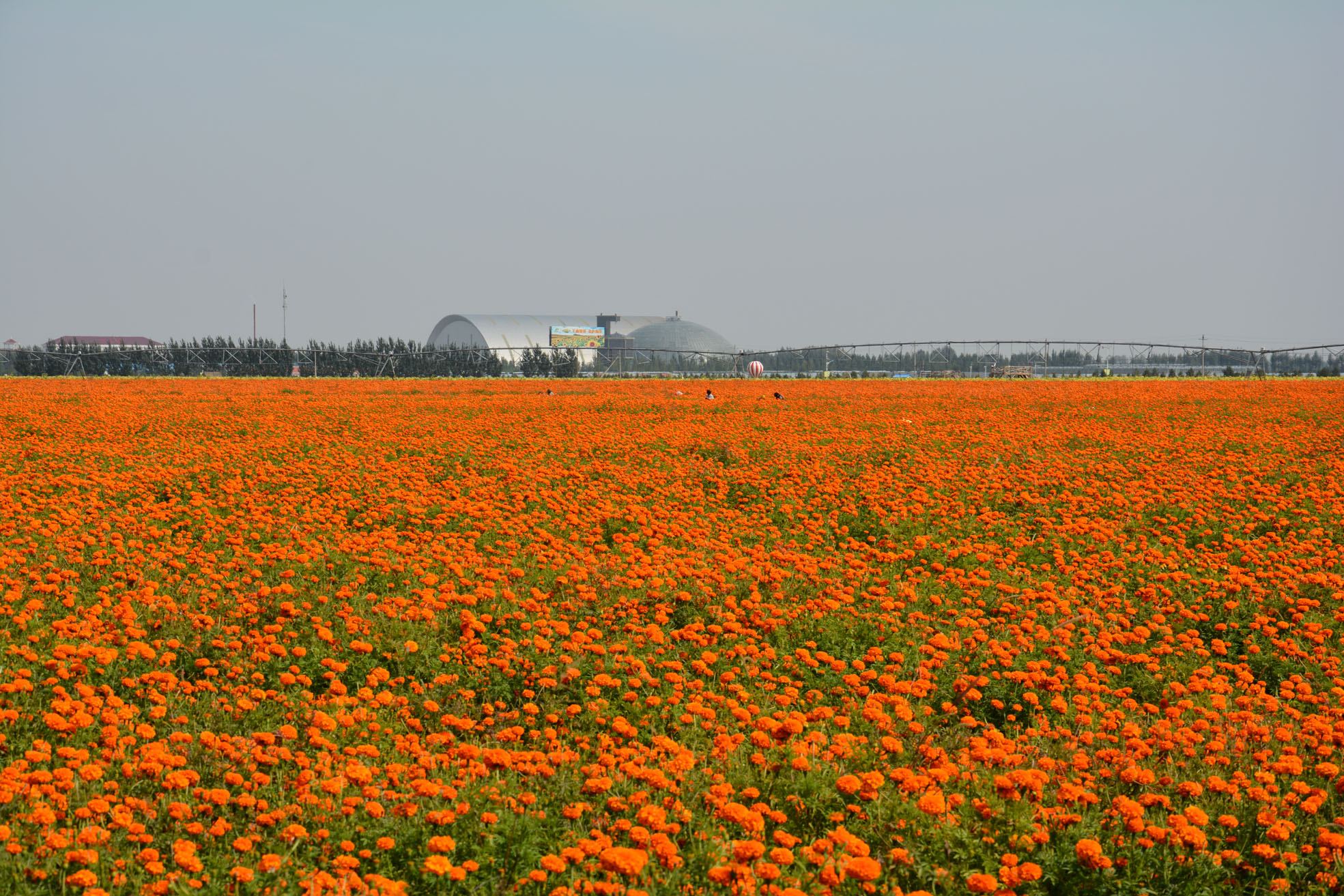 照片 0022222222.jpg