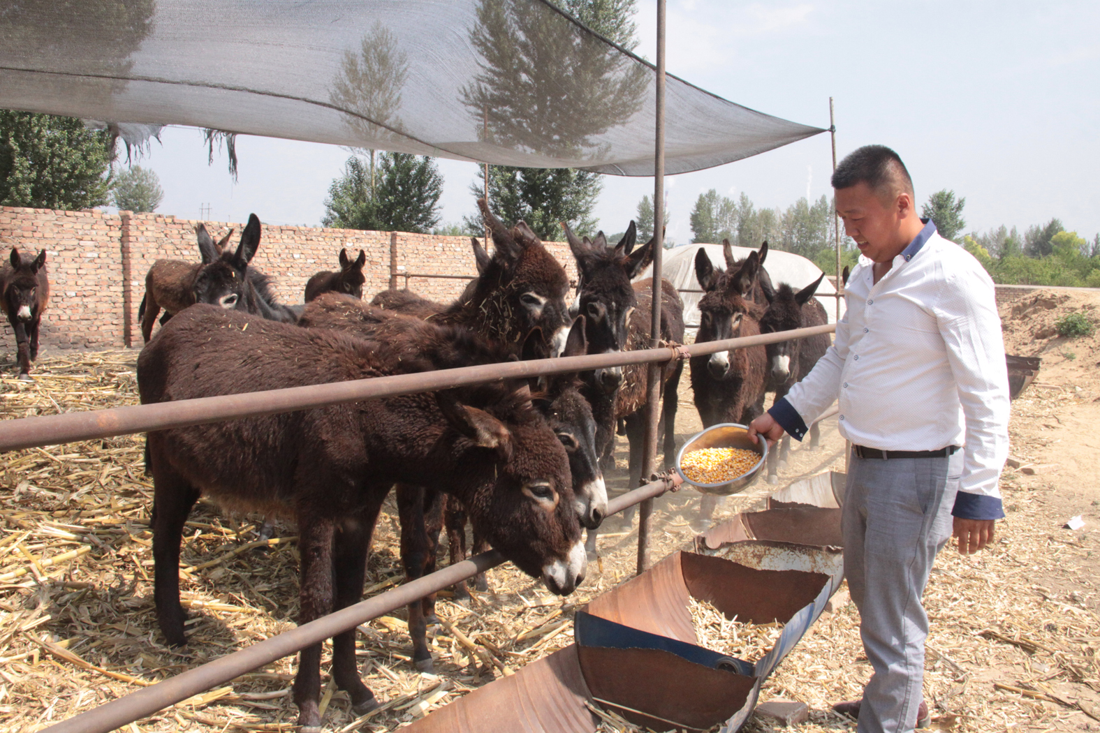 1534815777786147.jpg 杨少帅11111.jpg