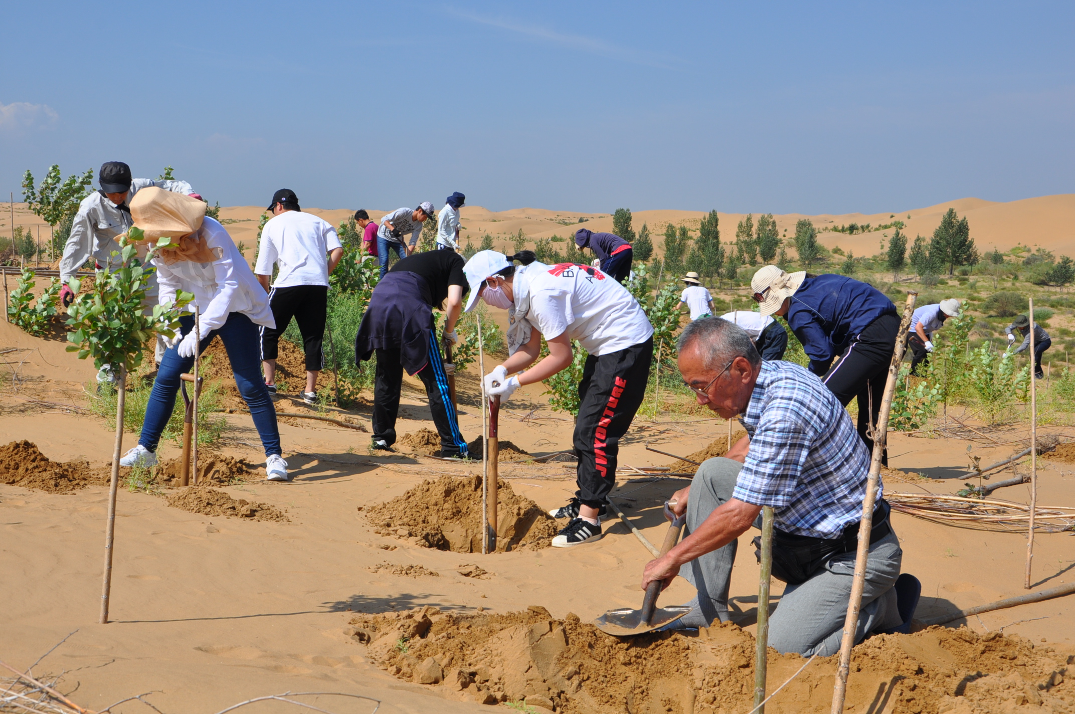 1534903413848672.jpg 库不其配图.jpg