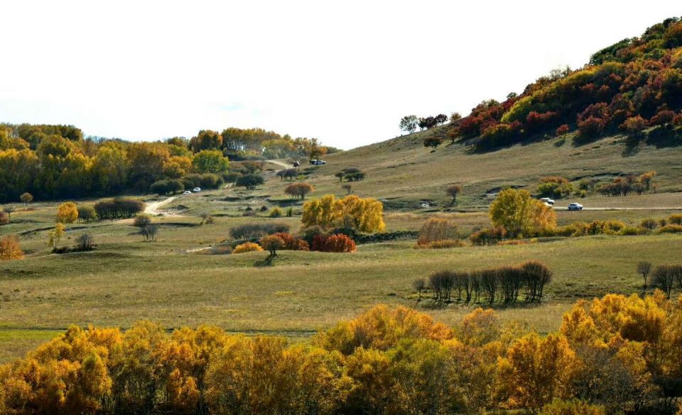 秋韵 白剑萍 摄.jpg