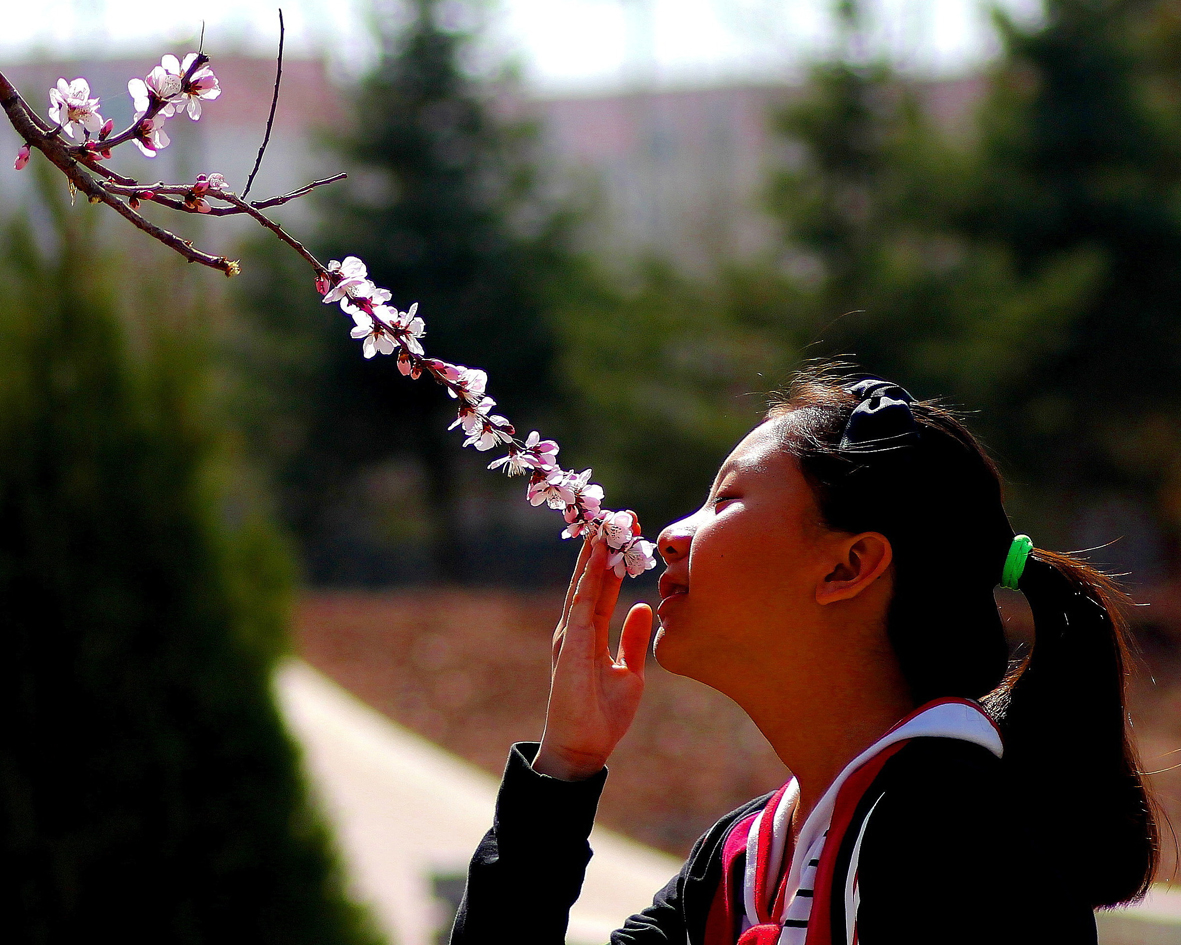 磬香--韩成元 摄00.jpg