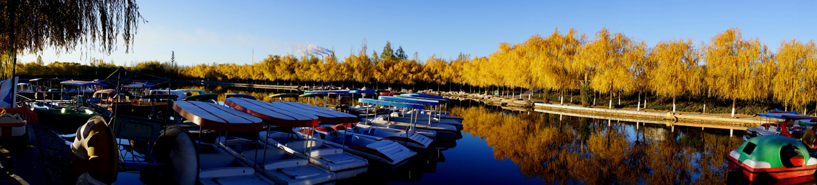 0金秋--韩成元 摄000.jpg