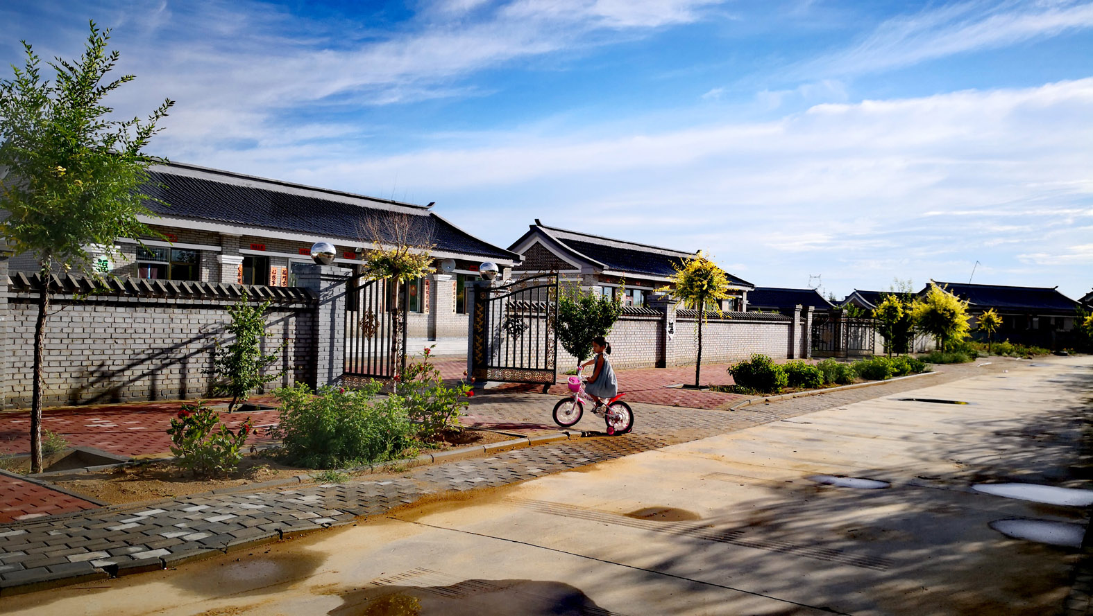 0《美丽家园 》 艾叶摄.jpg