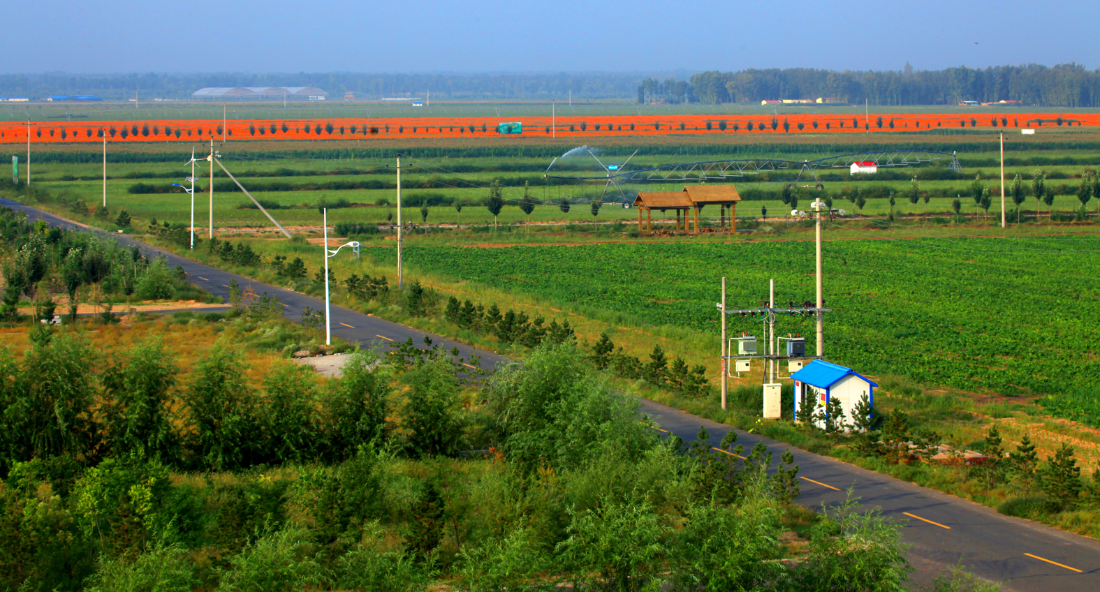 0多彩的土地 杨廷华摄.jpg