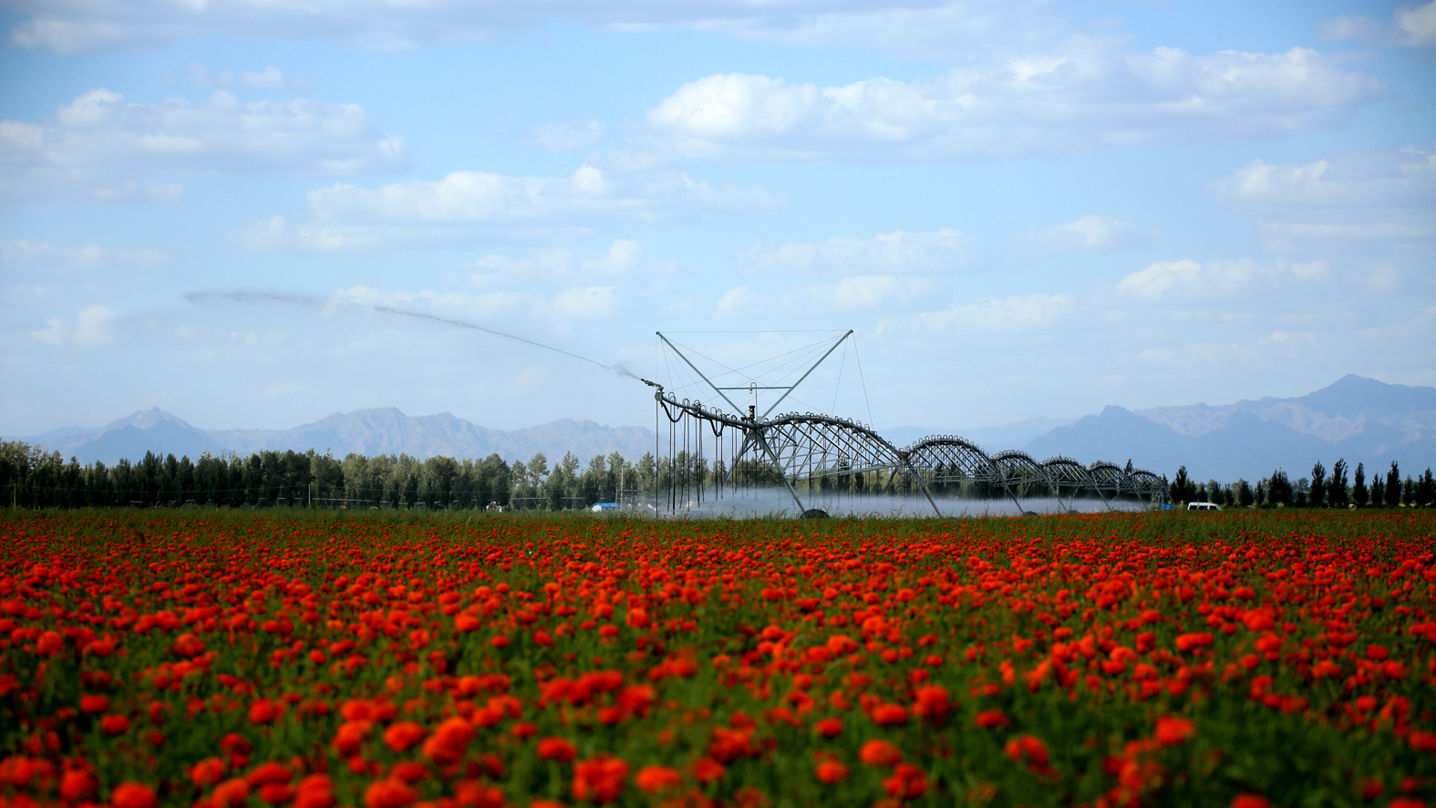 0滋润--韩成元 摄.jpg