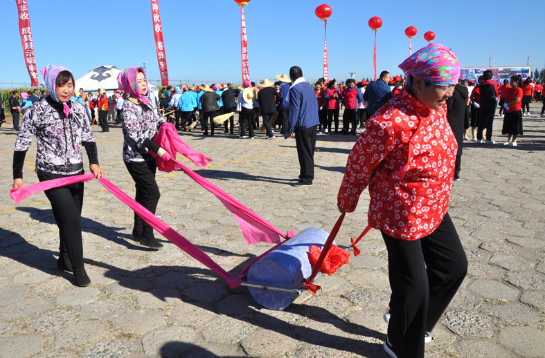03拉碌碡（郭建军 摄）.JPG