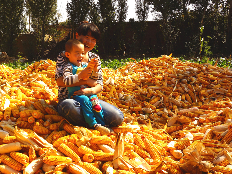 丰收乐--韩成元 000000.jpg