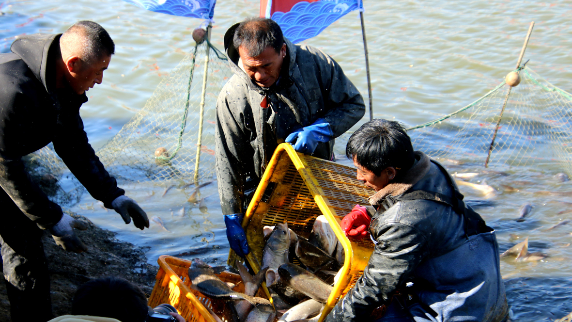 2、韩成元 摄.JPG