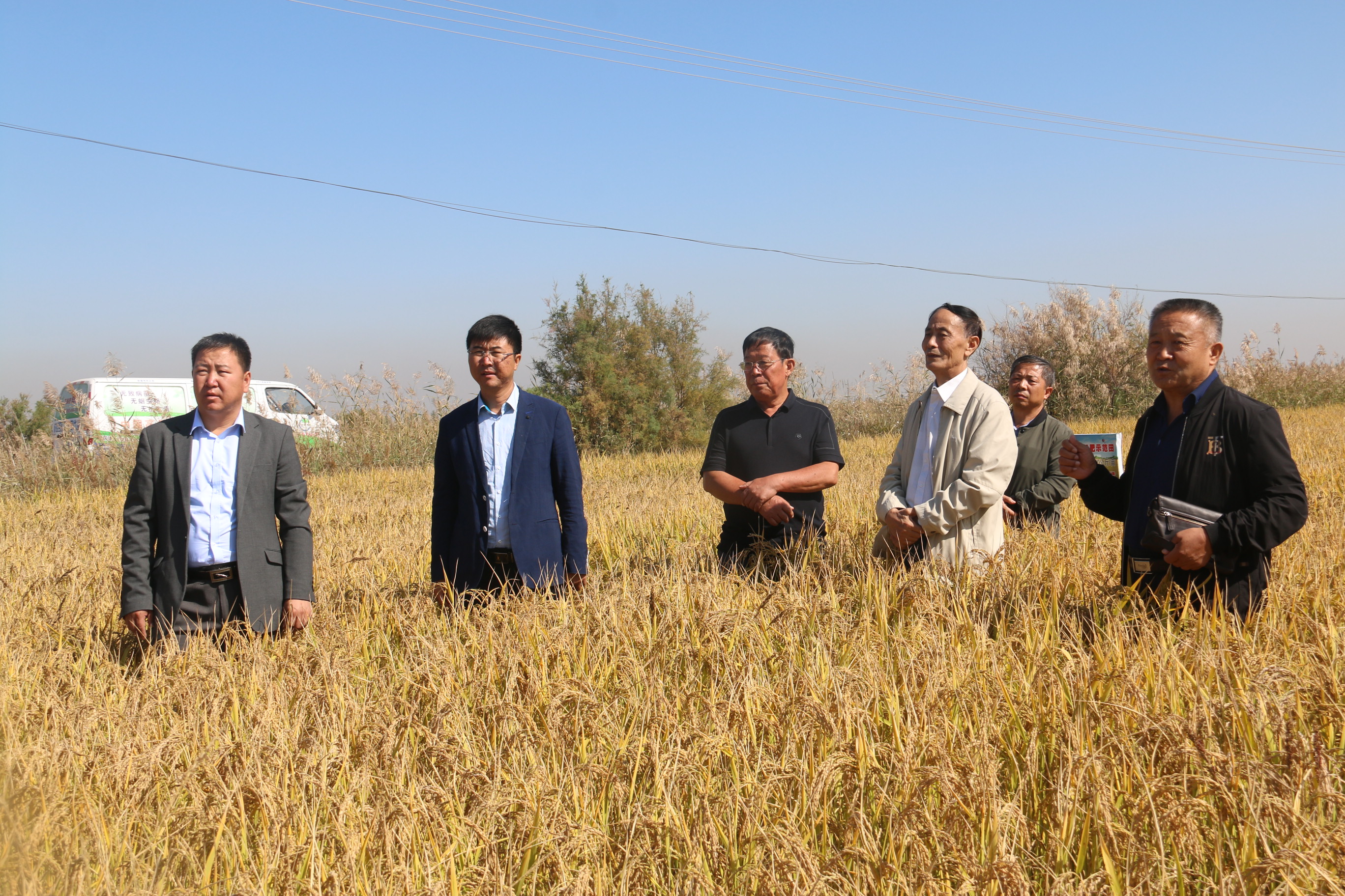 01马玺（左三）在试验田里察看水稻长势.jpg