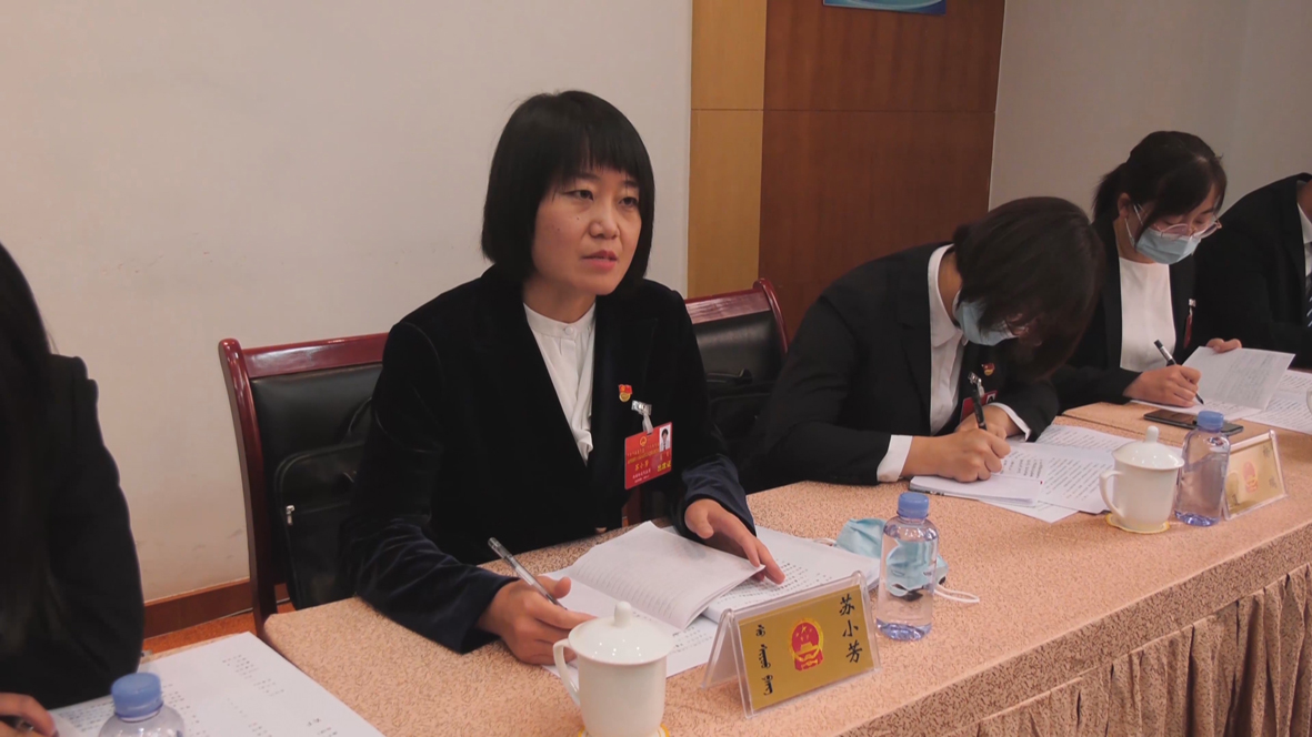 人大代表 苏小芳.jpg