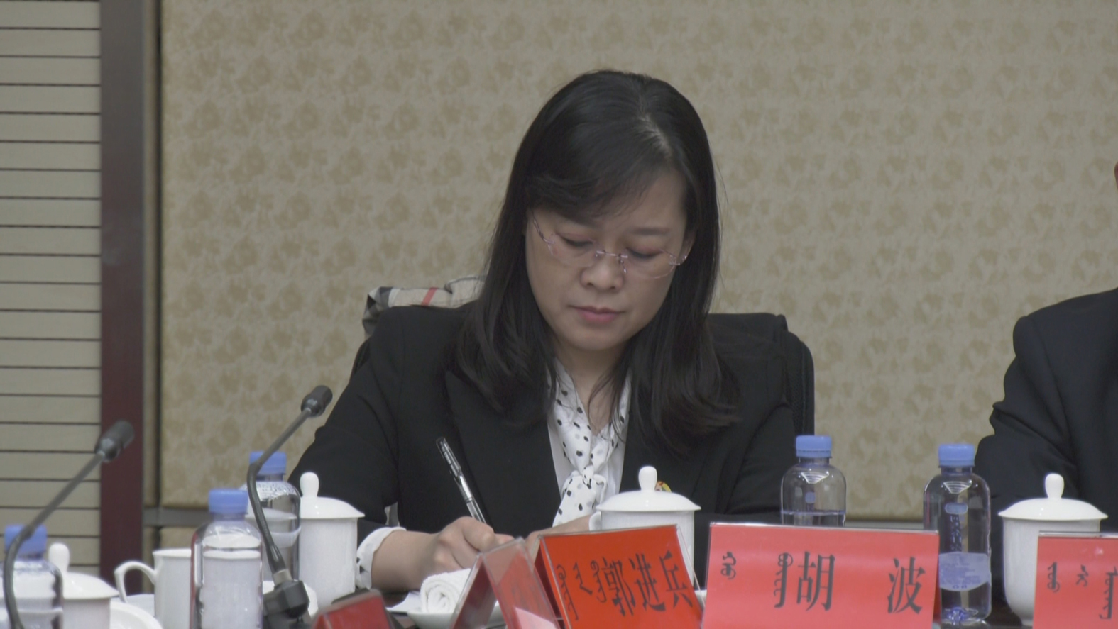 政协委员 胡波.jpg